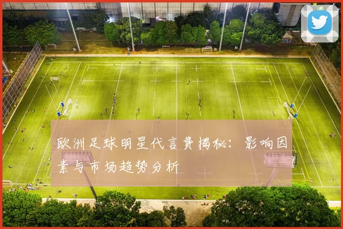 欧洲足球明星代言费揭秘：影响因素与市场趋势分析