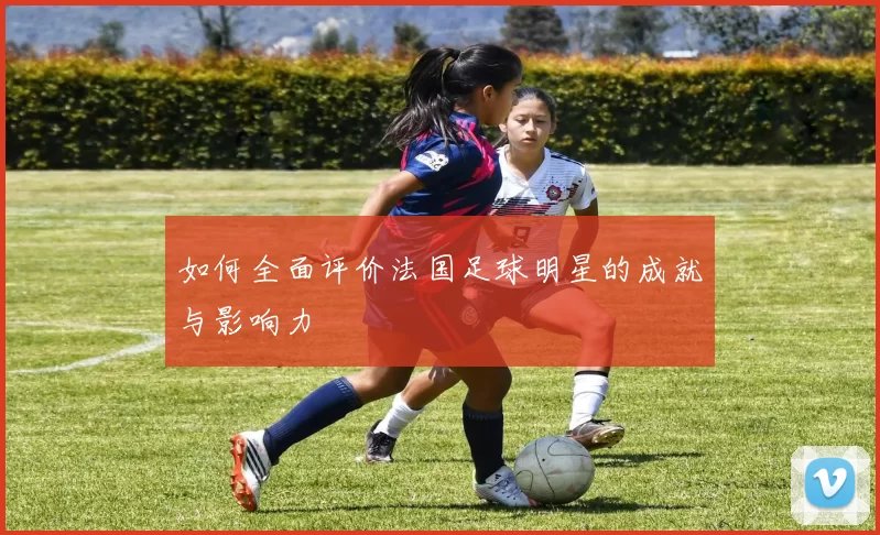如何全面评价法国足球明星的成就与影响力
