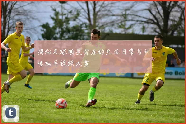 揭秘足球明星背后的生活日常与训练秘辛视频大赏