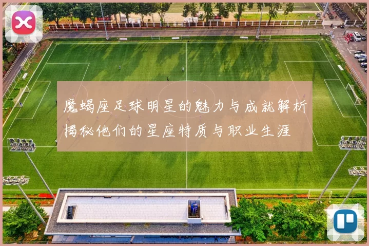 魔蝎座足球明星的魅力与成就解析揭秘他们的星座特质与职业生涯