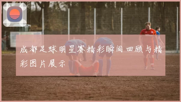 成都足球明星赛精彩瞬间回顾与精彩图片展示