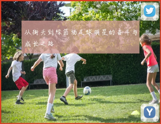 从街头到绿茵场足球明星的奋斗与成长之路