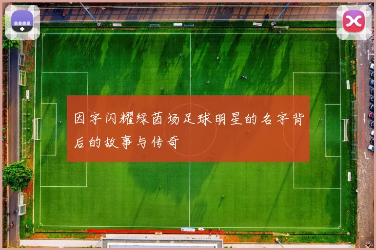 因字闪耀绿茵场足球明星的名字背后的故事与传奇