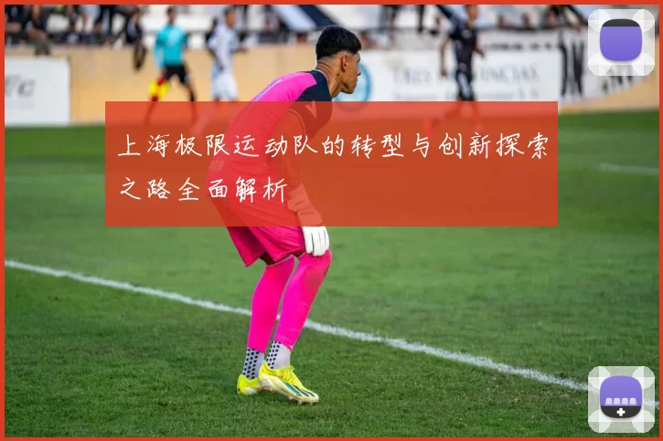 上海极限运动队的转型与创新探索之路全面解析