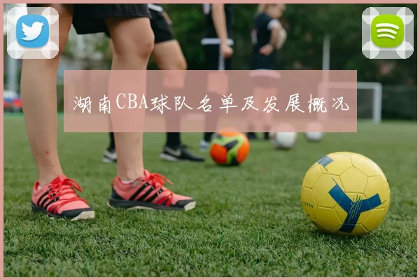 湖南CBA球队名单及发展概况