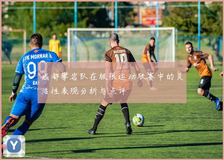 成都攀岩队在极限运动联赛中的灵活性表现分析与点评