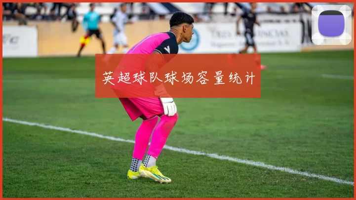 英超球队球场容量统计