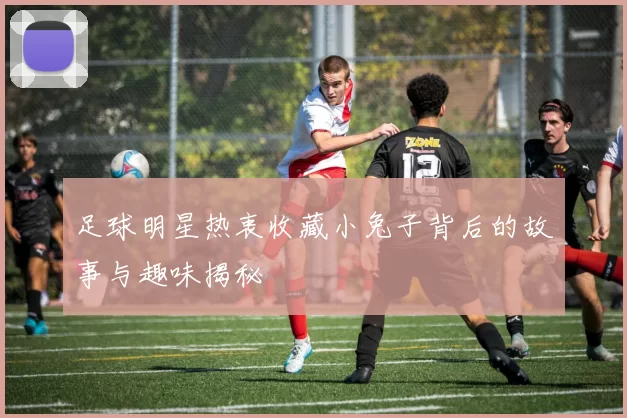 足球明星热衷收藏小兔子背后的故事与趣味揭秘