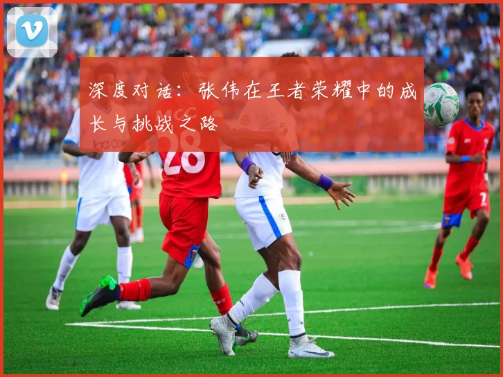 深度对话：张伟在王者荣耀中的成长与挑战之路
