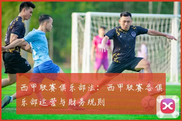 西甲联赛俱乐部法：西甲联赛各俱乐部运营与财务规则