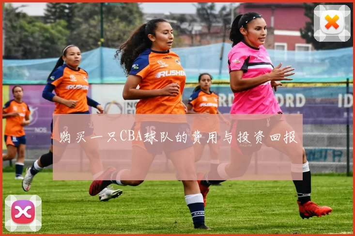 购买一只CBA球队的费用与投资回报