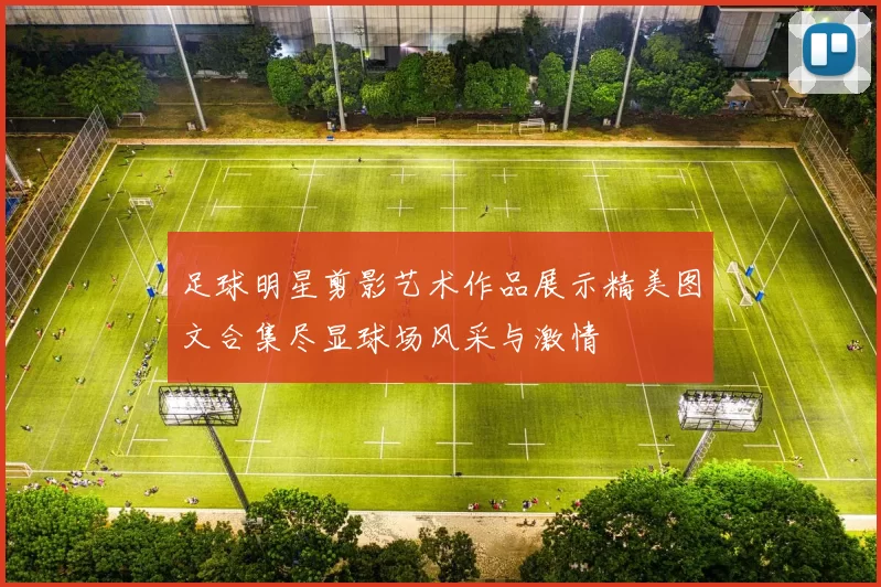 足球明星剪影艺术作品展示精美图文合集尽显球场风采与激情