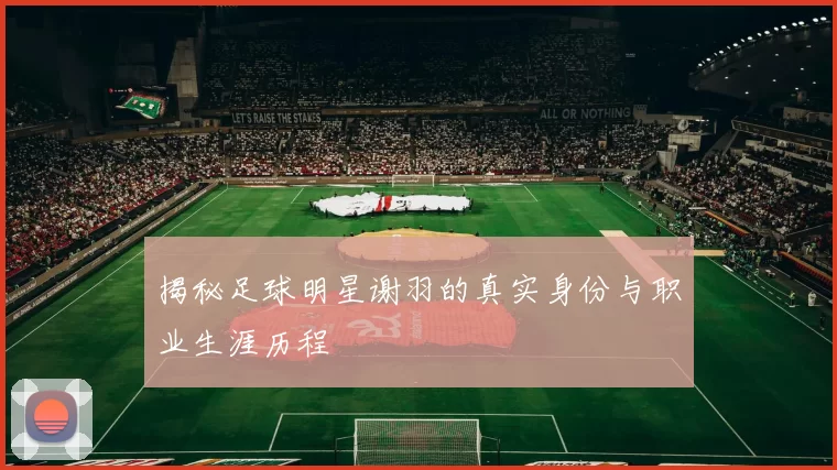 揭秘足球明星谢羽的真实身份与职业生涯历程