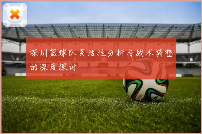 深圳篮球队灵活性分析与战术调整的深度探讨