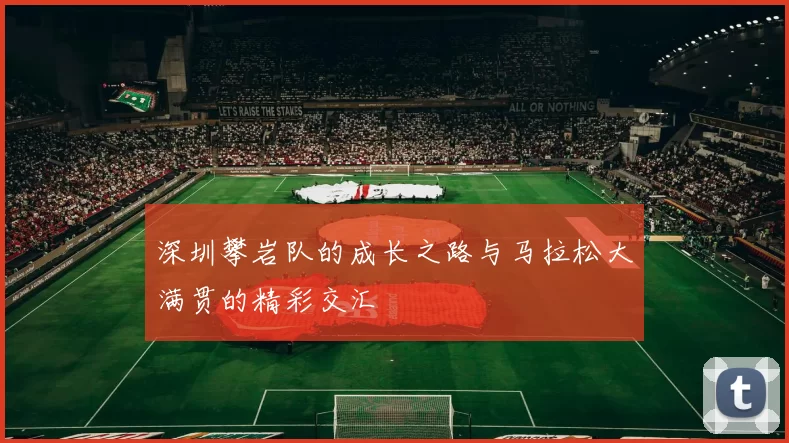 深圳攀岩队的成长之路与马拉松大满贯的精彩交汇