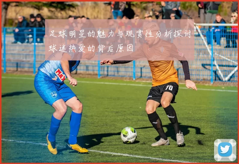 足球明星的魅力与观赏性分析探讨球迷热爱的背后原因