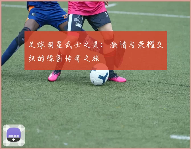 足球明星武士之灵：激情与荣耀交织的绿茵传奇之旅
