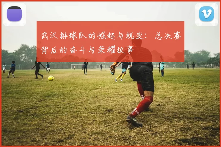 武汉排球队的崛起与蜕变：总决赛背后的奋斗与荣耀故事