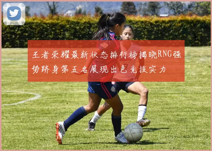 王者荣耀最新状态排行榜揭晓RNG强势跻身第五名展现出色竞技实力