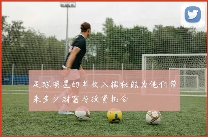 足球明星的年收入揭秘能为他们带来多少财富与投资机会