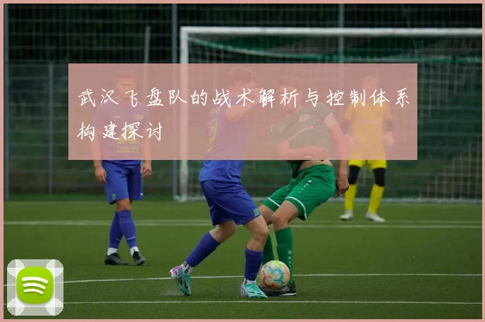 武汉飞盘队的战术解析与控制体系构建探讨