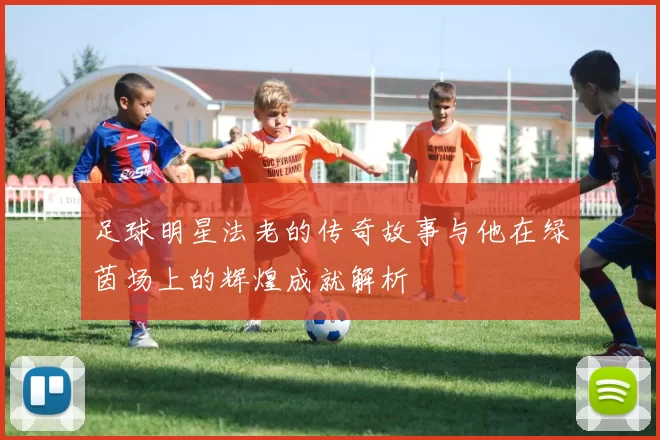足球明星法老的传奇故事与他在绿茵场上的辉煌成就解析