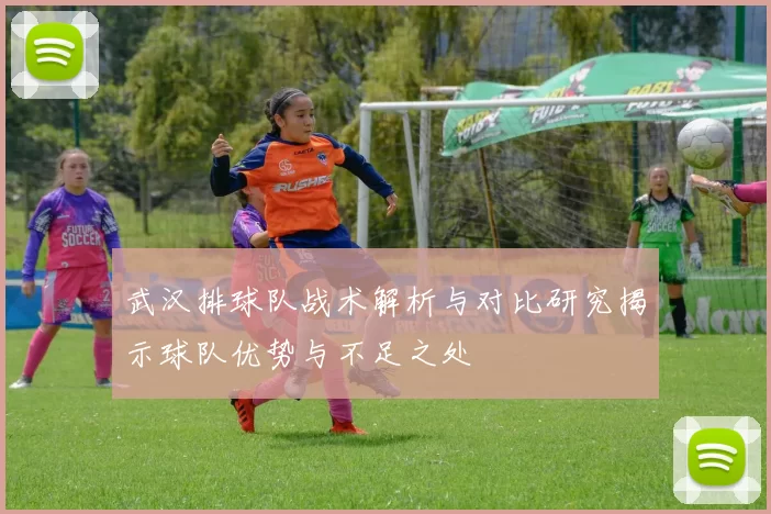 武汉排球队战术解析与对比研究揭示球队优势与不足之处