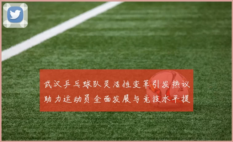 武汉乒乓球队灵活性变革引发热议助力运动员全面发展与竞技水平提升