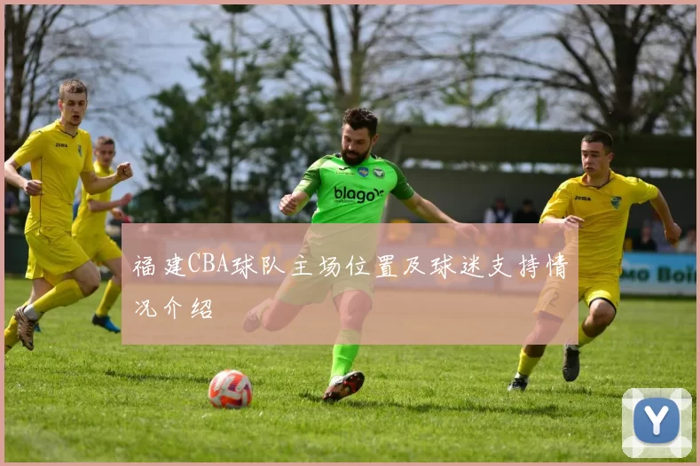 福建CBA球队主场位置及球迷支持情况介绍