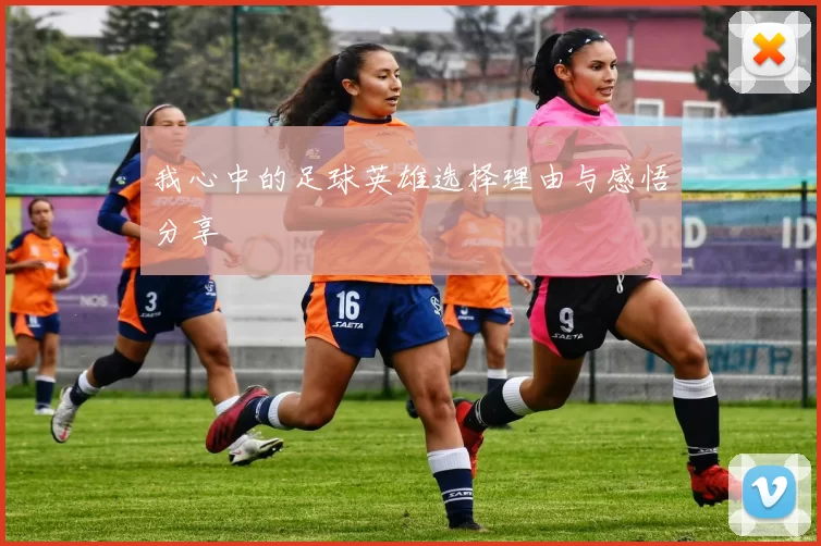 我心中的足球英雄选择理由与感悟分享
