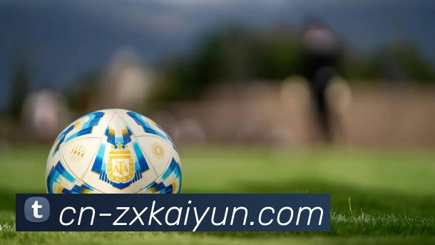 开云下载APP 封面图